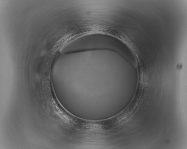 X0000113610577200909251144