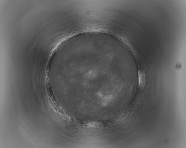 X0000113610579200909251144