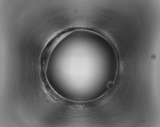 X0000113610580200909251144