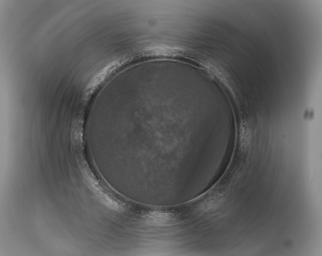 X0000113610581200909251144