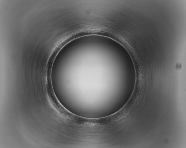 X0000113610582200909251144