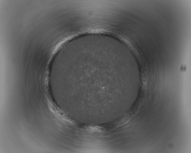 X0000113610583200909251144