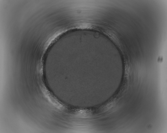 X0000113610584200909251144