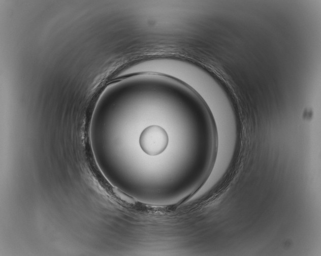 X0000113610585200909251144