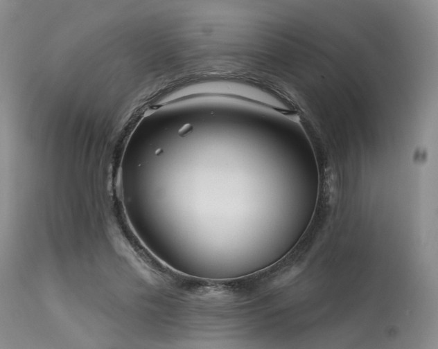 X0000113610589200909251144