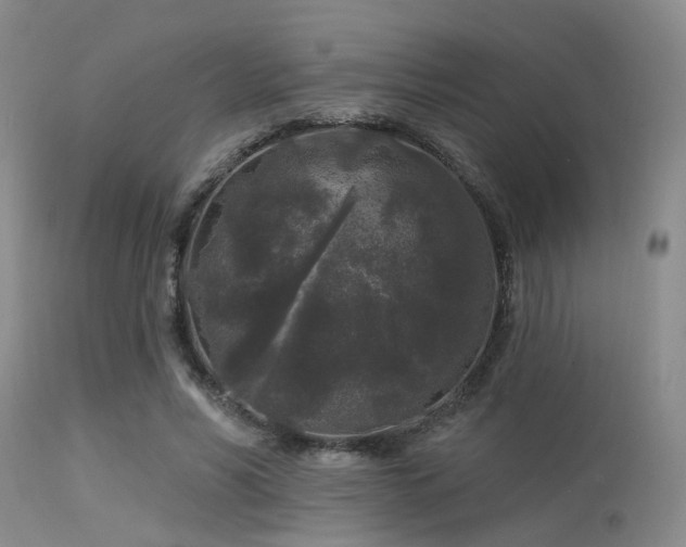 X0000113610590200909251144