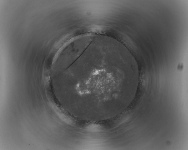 X0000113610593200909251144