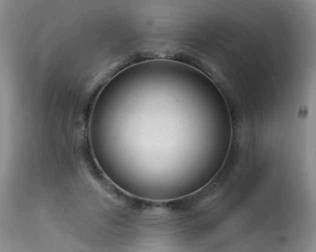 X0000113610594200909251144