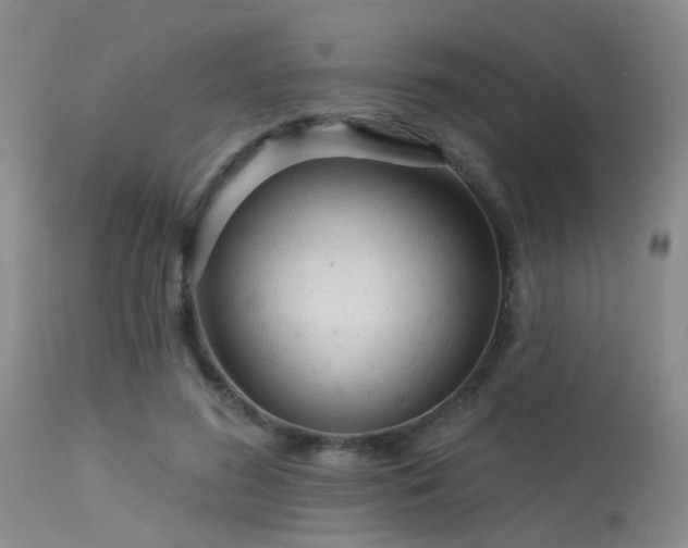 X0000113610596200909251144