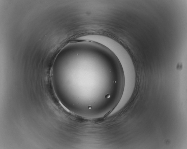 X0000113610597200909251144