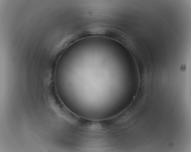 X0000113610600200909251144