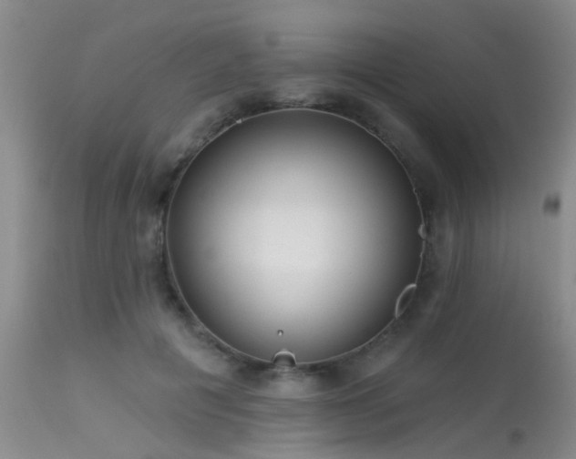 X0000113610601200909251144