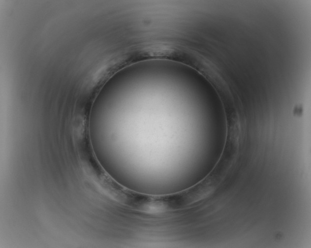 X0000113610604200909251144