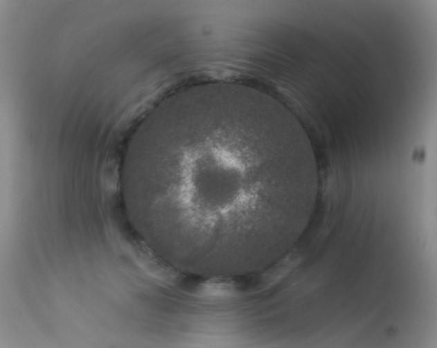 X0000113610606200909251144