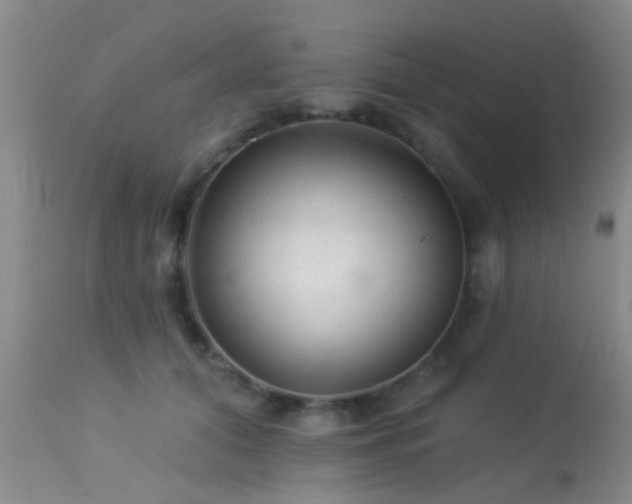 X0000113610608200909251144