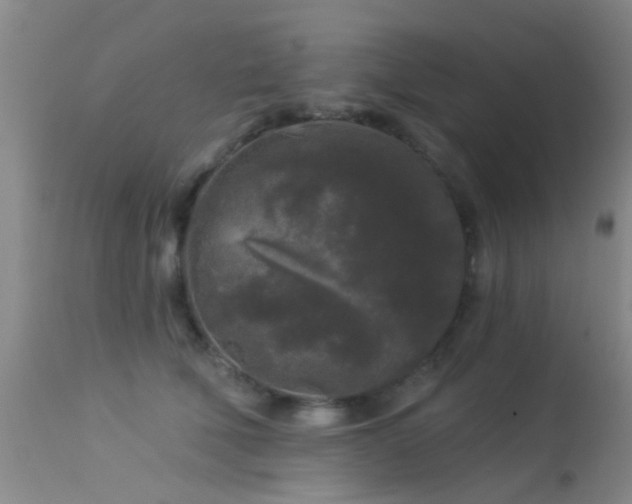 X0000113610610200909251144