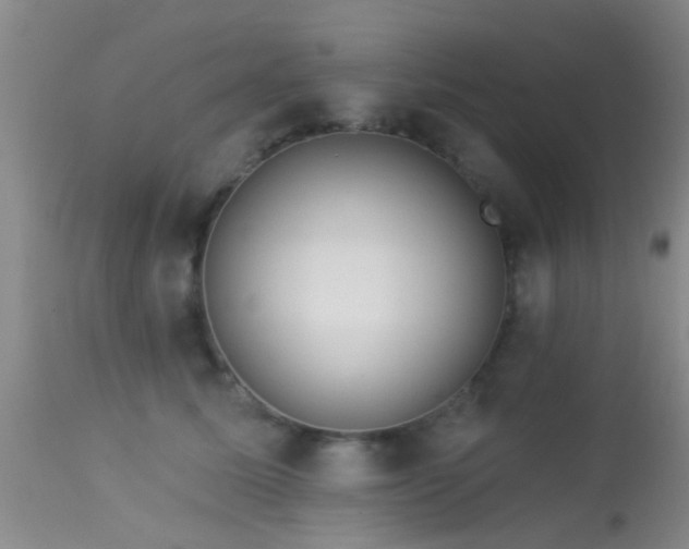 X0000113610611200909251144