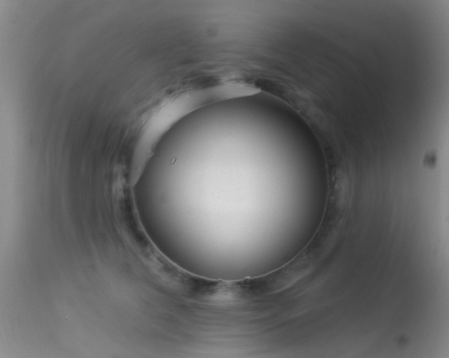 X0000113610612200909251144