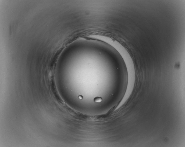 X0000113610613200909251144