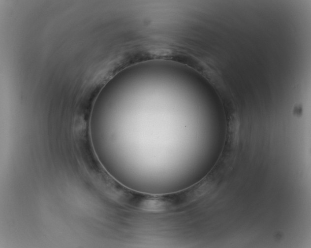 X0000113610614200909251144