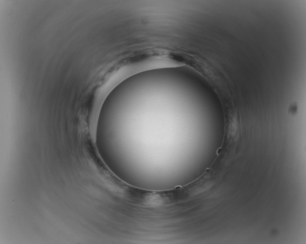 X0000113610616200909251144