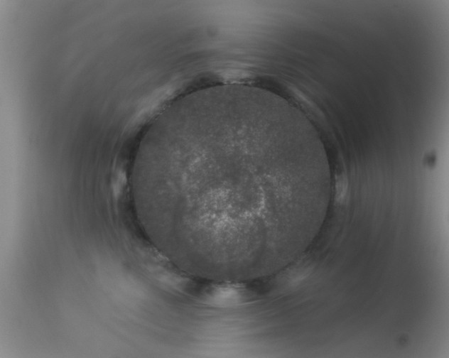 X0000113610618200909251144