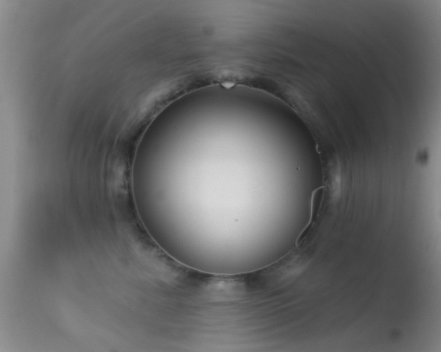 X0000113610619200909251144