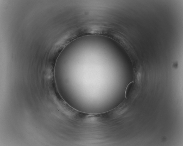 X0000113610620200909251144