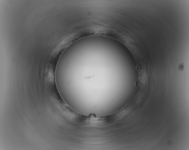 X0000113610622200909251144