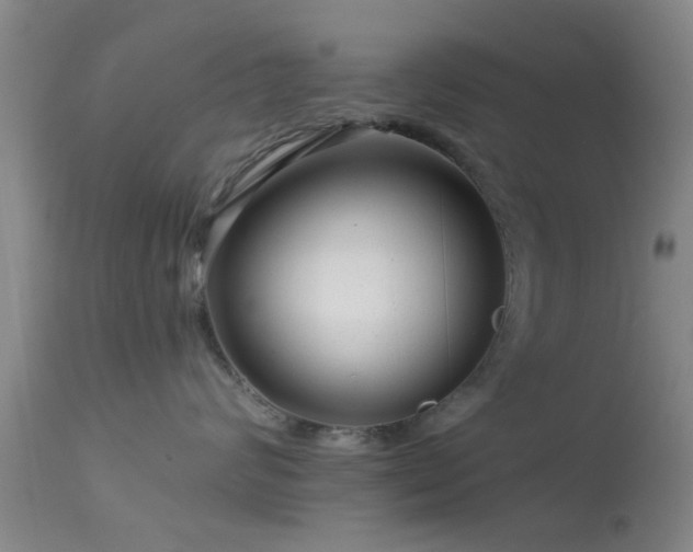 X0000113610624200909251144