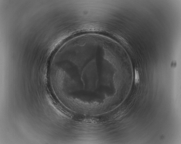 X0000113610627200909251143