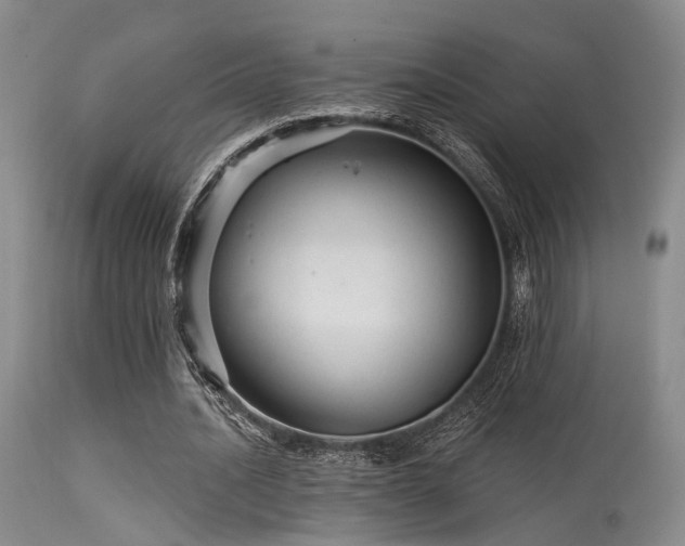 X0000113610628200909251143