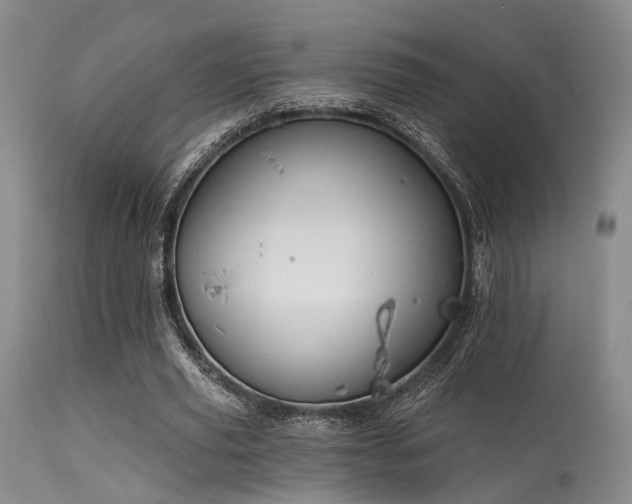 X0000113610629200909251143