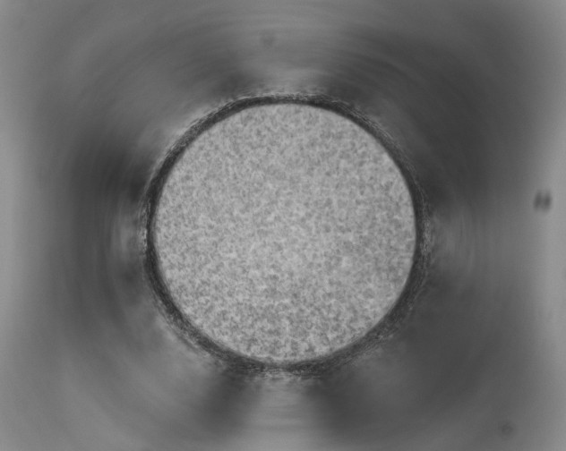 X0000113610632200909251143