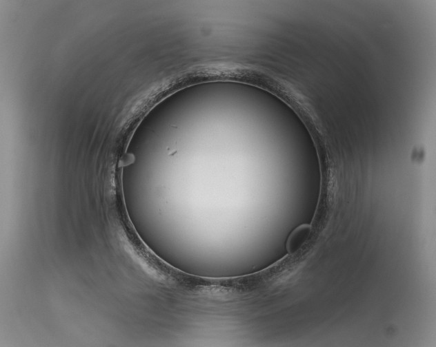 X0000113610633200909251143