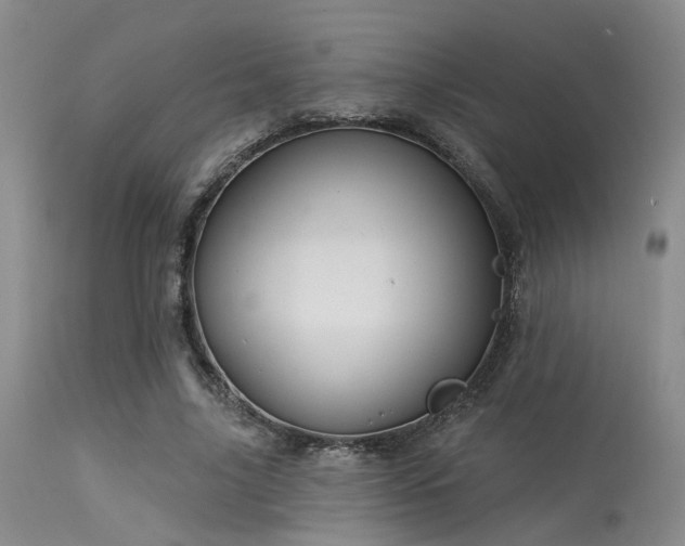 X0000113610635200909251143