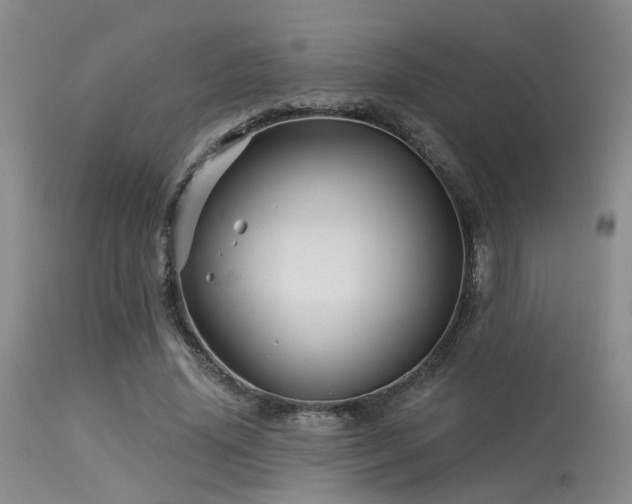 X0000113610636200909251143