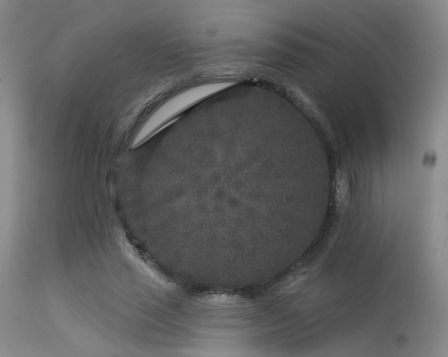 X0000113610637200909251143