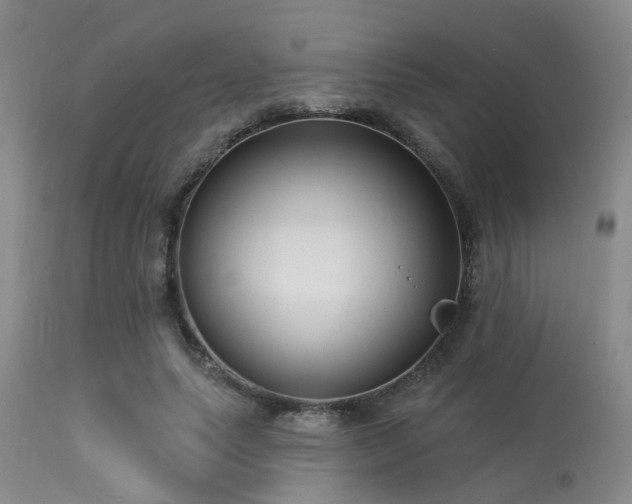 X0000113610639200909251143