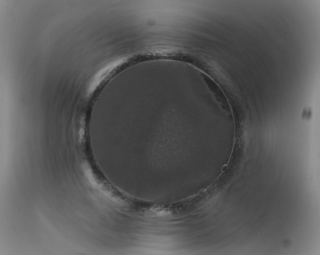 X0000113610640200909251143