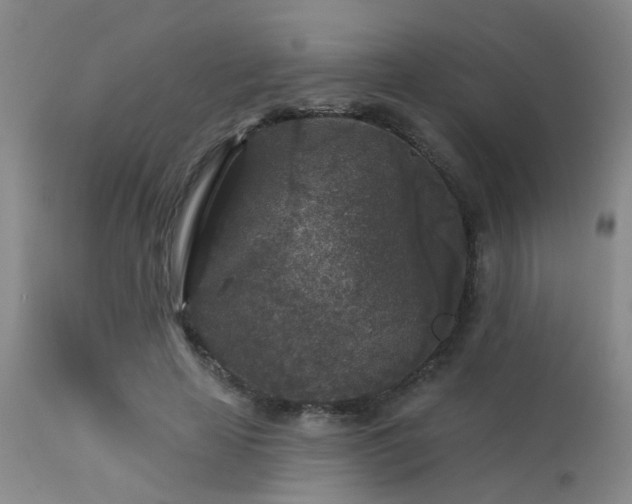 X0000113610641200909251143