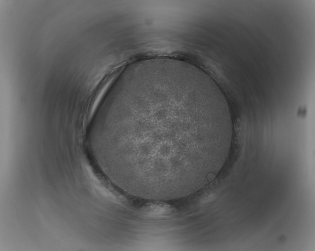 X0000113610642200909251143