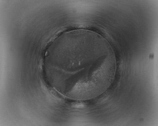 X0000113610643200909251143