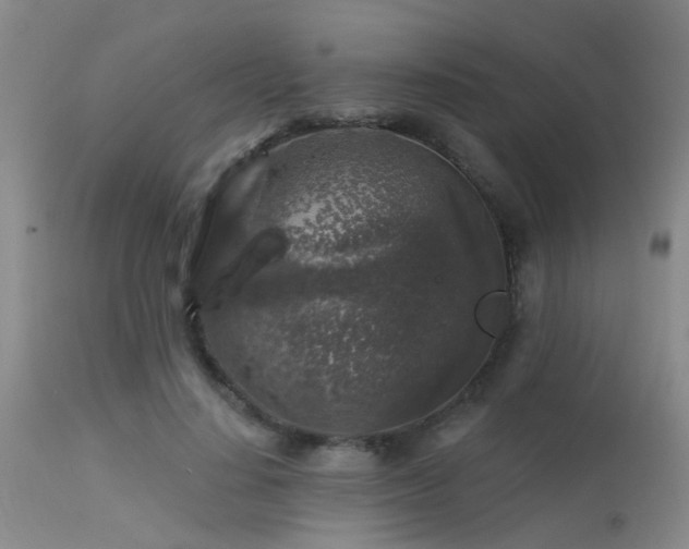 X0000113610644200909251143