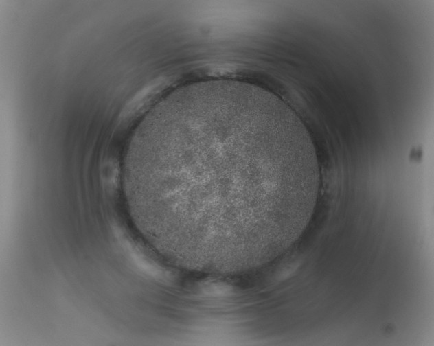 X0000113610648200909251143