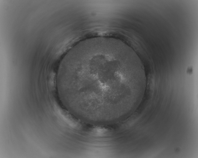 X0000113610650200909251143