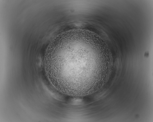 X0000113610651200909251143