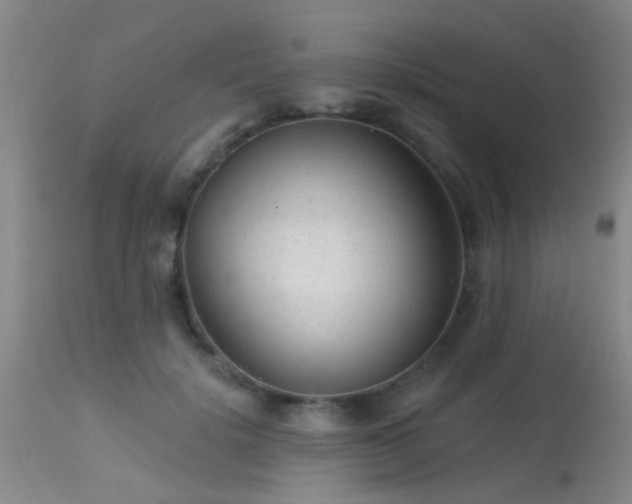 X0000113610652200909251143