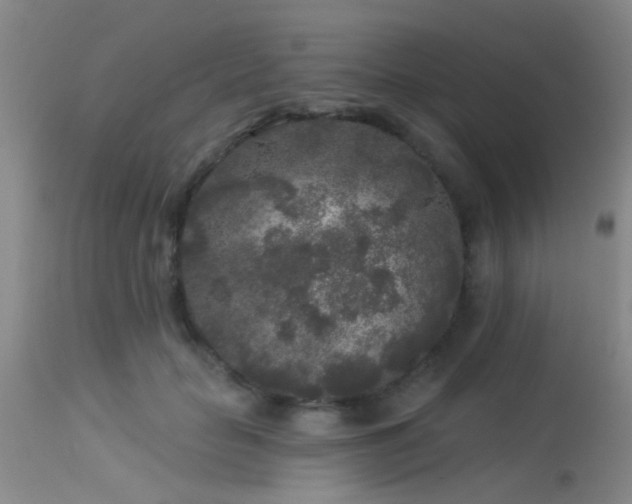 X0000113610653200909251143