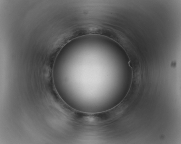 X0000113610654200909251143